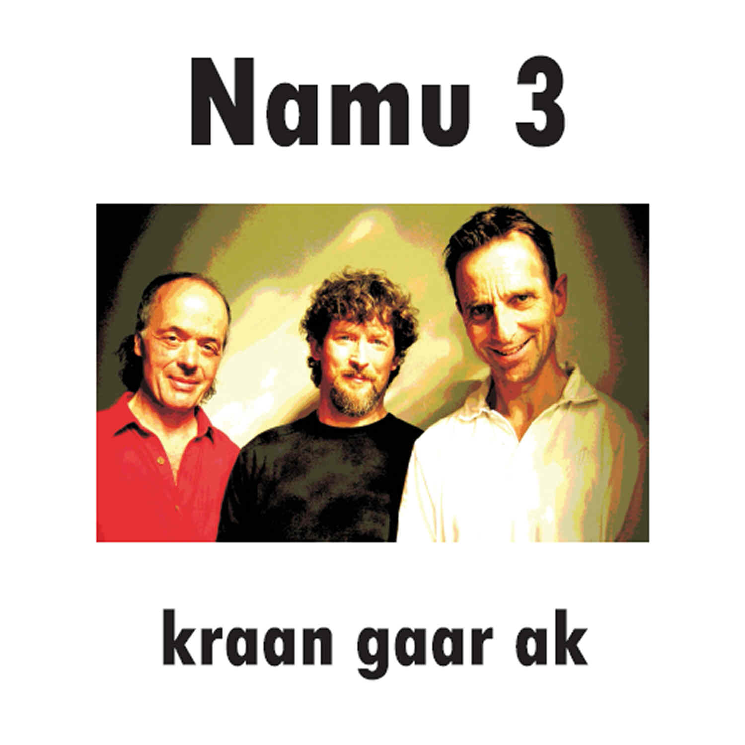 NAMU3 cover web
